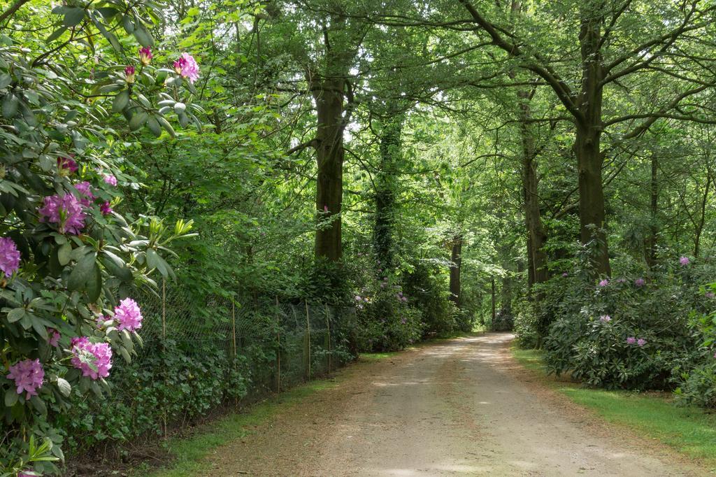Vila Bungalowpark Vogelenzang Lage Mierde Exteriér fotografie