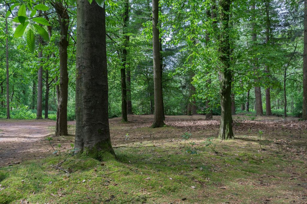 Vila Bungalowpark Vogelenzang Lage Mierde Exteriér fotografie