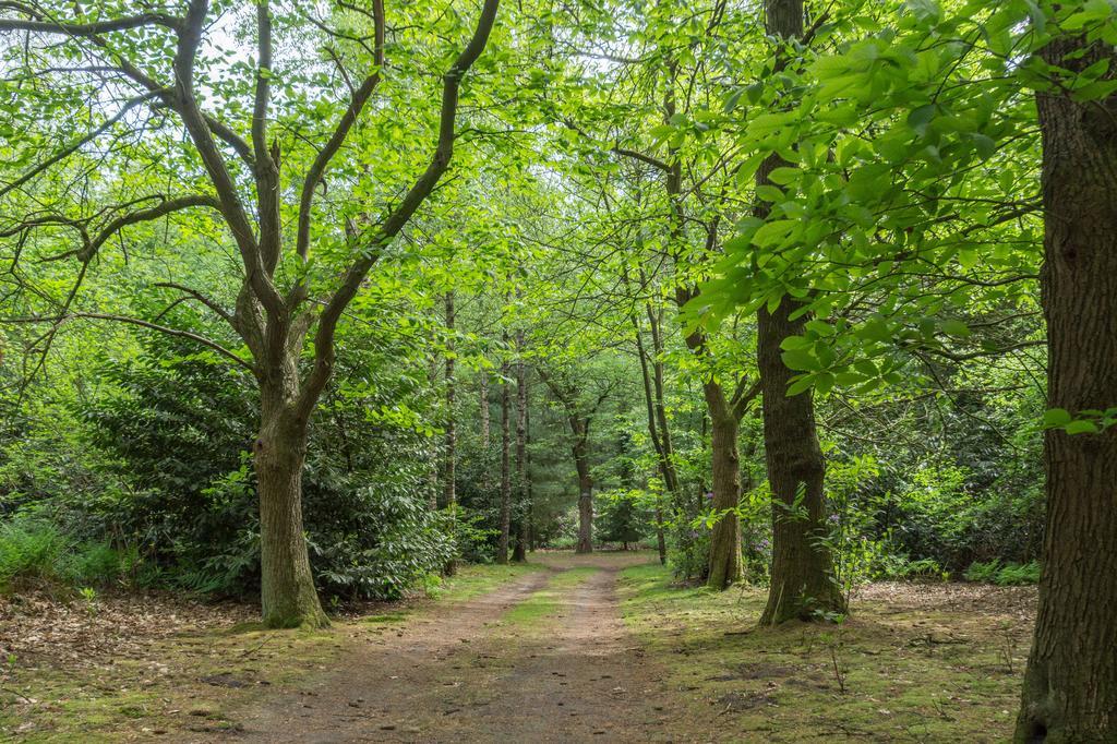 Vila Bungalowpark Vogelenzang Lage Mierde Exteriér fotografie
