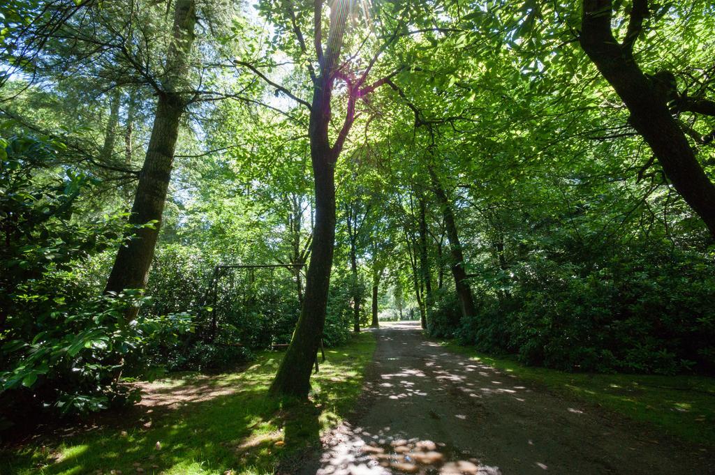 Vila Bungalowpark Vogelenzang Lage Mierde Exteriér fotografie