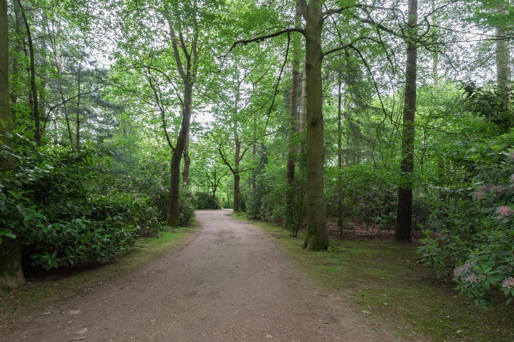 Vila Bungalowpark Vogelenzang Lage Mierde Exteriér fotografie